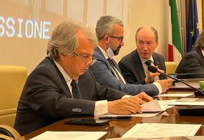 Foto del ministro Brunetta in audizione al Senato